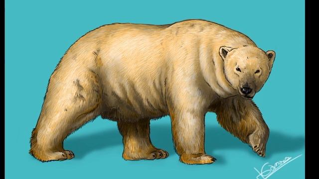 Ursus Maritimus Tyrannus || El Oso Marino Tirano || PaleoPedias 🇬🇧 смотреть онлайн