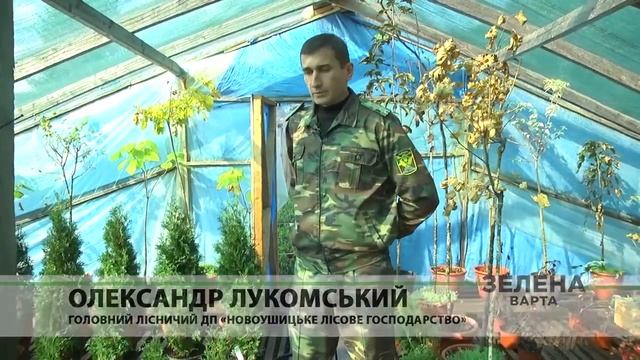Дерева , як і усе мають свій вік стиглості . смотреть онлайн