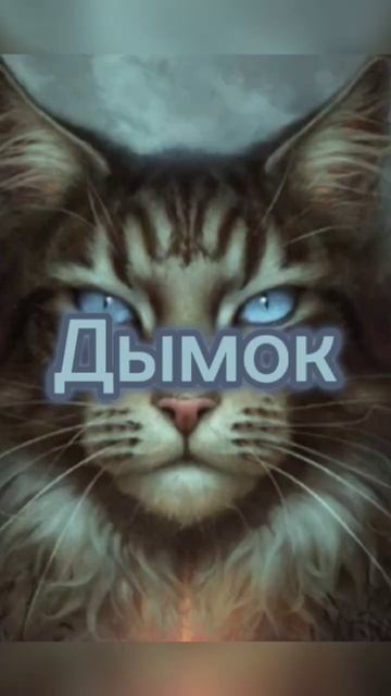 #котывоители ||подруга угадывает имена котов|| смотреть онлайн