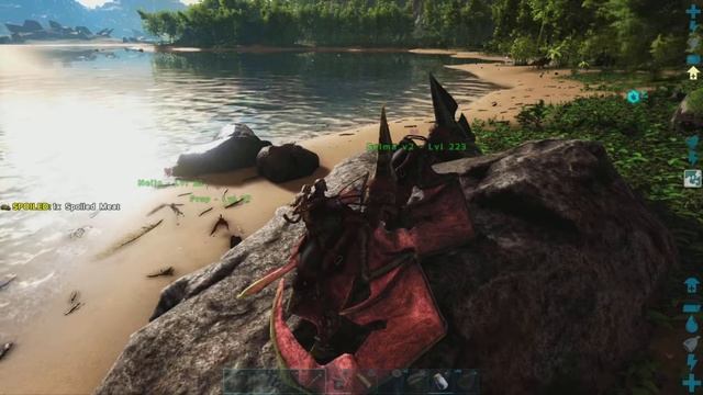 Ark flying lessons on a Sinomacrops смотреть онлайн