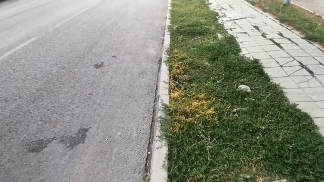 КИТ сотрудники сказали сделали, спасибо им за это. А дальше привыкайте к городской среде! смотреть онлайн