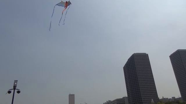 Удивительное про воздушных змеев смотреть онлайн