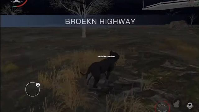 (OLD) Dog online monster virus show you some glitches in dog online смотреть онлайн