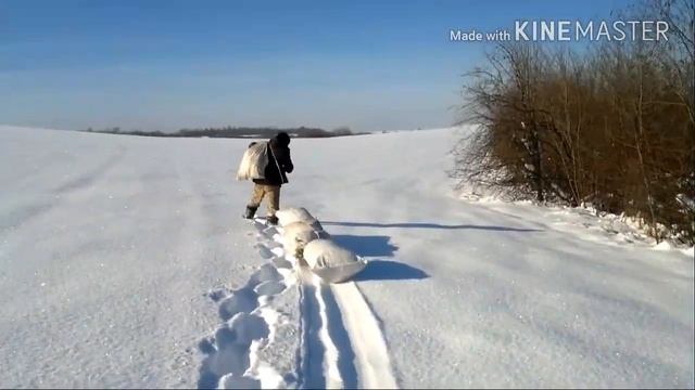 І знову наш похід в морозний період зими до кормушки! дбаємо про природу шановні!! смотреть онлайн