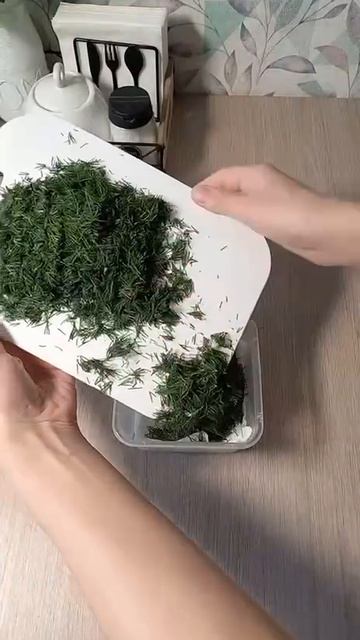 Как правильно хранить зелень.
