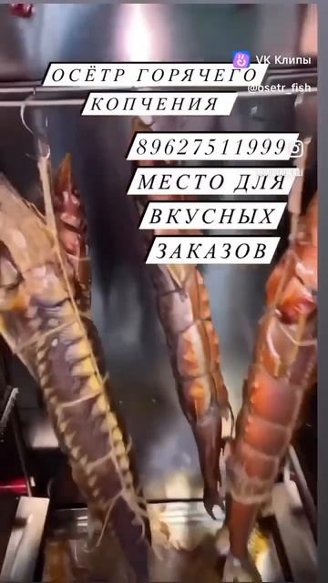 Осетр горячего копчения смотреть онлайн