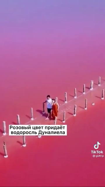 Розовое озеро | Цвет Фламинго | Места для фотосессий в Крыму смотреть онлайн