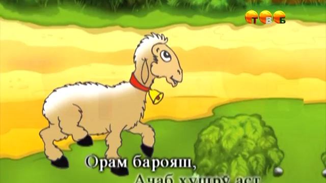 Баррачаи ман (Караоке) смотреть онлайн