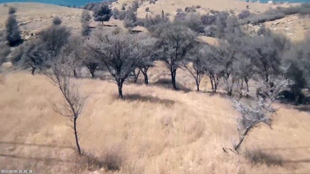 FPV flight without infra-red filter смотреть онлайн