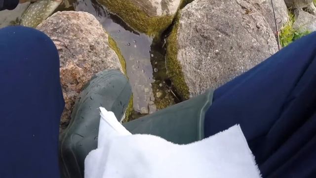 Nice catch on my new Rapala X-Rap смотреть онлайн