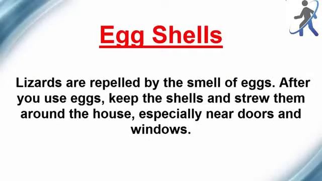 How to Get Rid of Lizards Health and Beauty смотреть онлайн