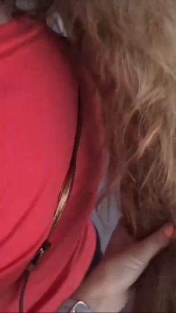 Хвост бобра 🤣🤣🤣 #shorts смотреть онлайн