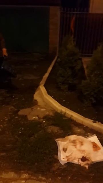 Краснодог и его успехи смотреть онлайн