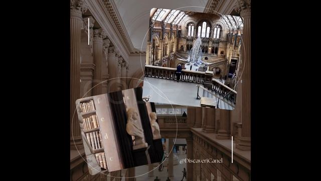 Motion Graphic Design in #canva смотреть онлайн