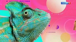 Заставка "В кругу друзей" 2К 60FPS