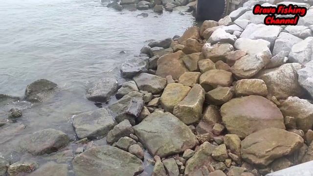 💢Mancing Loban | Padang Kota Lama | Tamok...Vlog54 смотреть онлайн