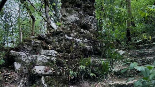 Хостинская тисо-самшитовая роща смотреть онлайн