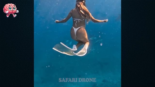 Most Unbelievable Moments Ever Caught On Camera#12 | Safari Drone смотреть онлайн