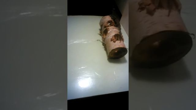 Обзор на мою ящерицу и многое другое смотреть онлайн
