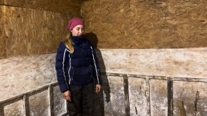 Отёл Джерсейской первотелки от сексированного семени! Сделали забор на новой ферме!