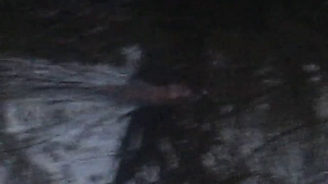 Бобёр) смотреть онлайн