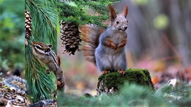 ✔ *Срочно* «Исцеление от Ангелов Абсолюта !» смотреть онлайн