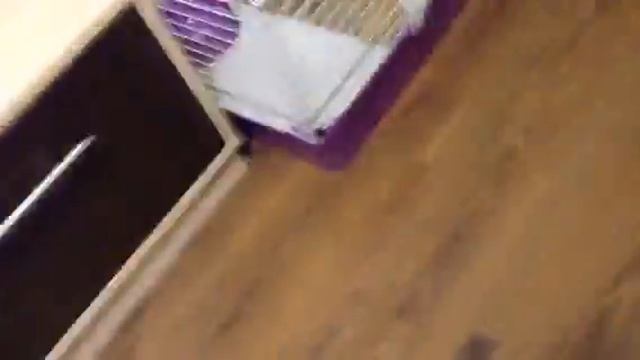 Клип боня зацепила меня песня раса смотреть онлайн