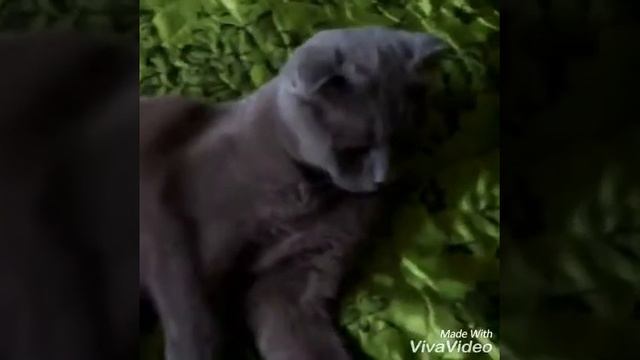 Песня- бъёт бит смотреть онлайн