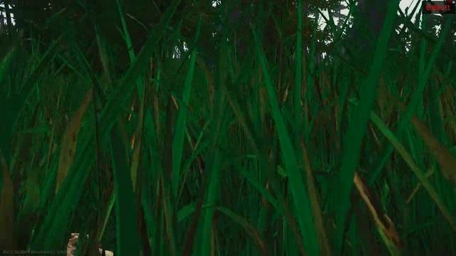 Муравей Escape from Tarkov смотреть онлайн
