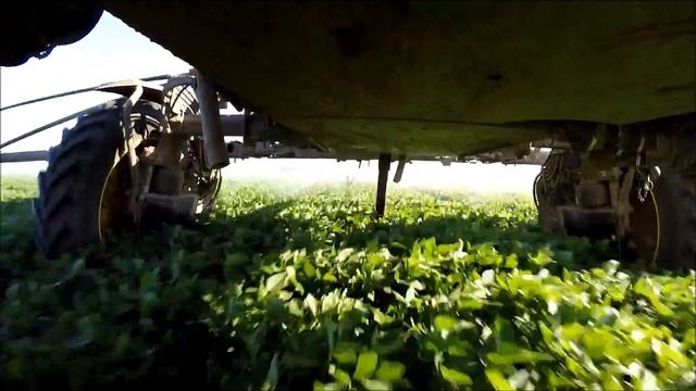 Biggest Sprayer in the World! John Deere R4038 with 52 m Boom... Maior Pulverizador do Mundo! (HD) смотреть онлайн