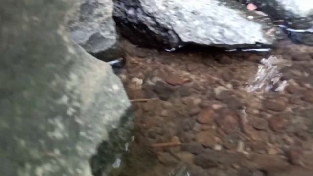 Mencari Kepiting, udang, Lele, Guppy Dan Ikan Di Sungai Pedesaan. смотреть онлайн