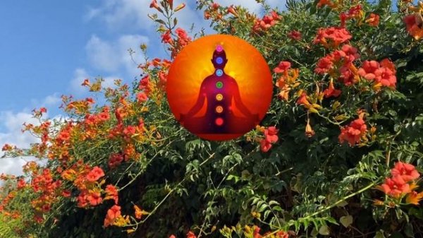 Музыка 417 Гц для Активации Второй Чакры | Исцеление Сакральной Чакры Свадхистхана Медитация 🎵