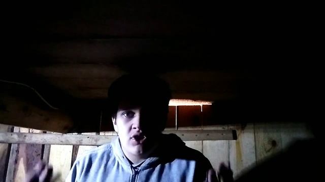 РУСЛАН ГИТЕЛЬМАН ТОПЧИК ИЛИ ГНИДА ЭТО МОЕ МНЕНИЕ смотреть онлайн