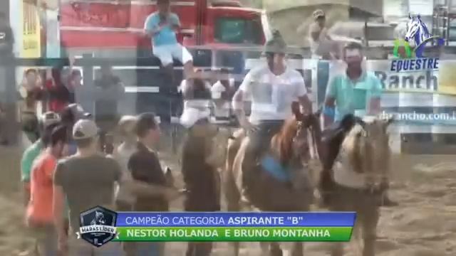 Campeão na categoria aspirante B no parque Haras líder Nestor e Bruno смотреть онлайн