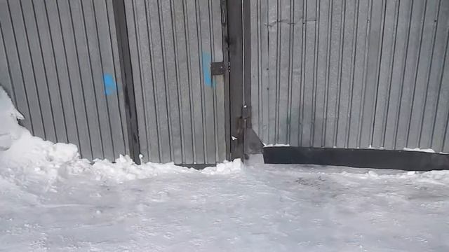 Собачка на Керамической убежала под забор смотреть онлайн