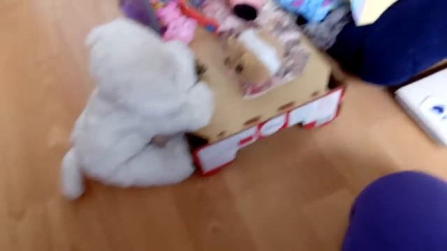 Укладываем шерсть Басику. балуемся! смотреть онлайн