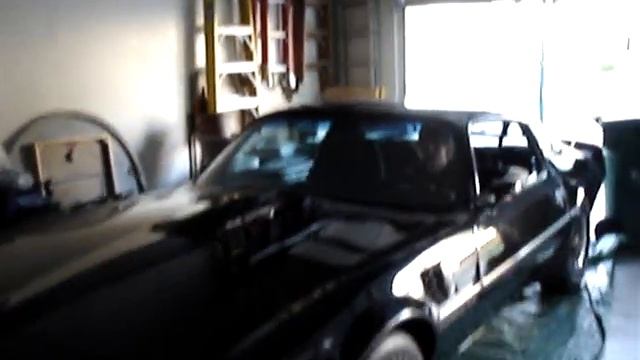 Trans am rev смотреть онлайн