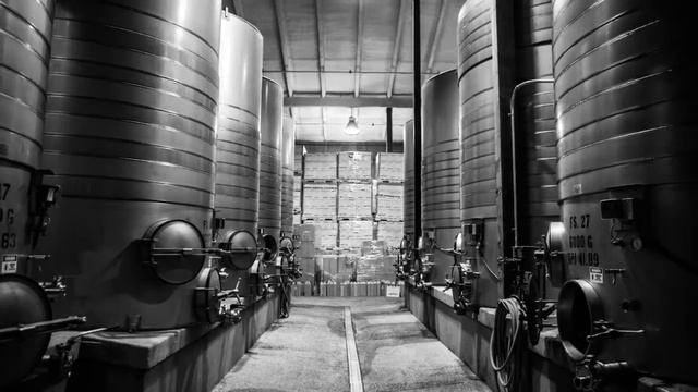 Zaca Mesa Viognier смотреть онлайн
