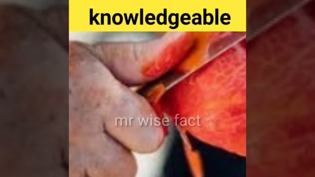 दुनिया का सबसे ज्यादा ऑक्सीजन देने वाला पेड़ कौन सा है 🤔/#short/#basicknowledge смотреть онлайн