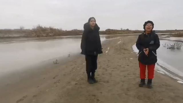 №118 орта мектеп смотреть онлайн