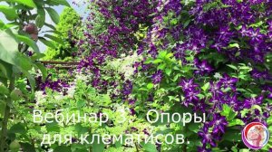 Опоры для клематисов. Приглашаю на Вебинар 3.