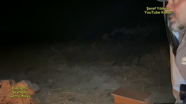 15 KOYUNLA BAŞLAYIP 400 KOYUNA ULAŞTI - 37 YILLIK ÇOBAN SERDAR смотреть онлайн
