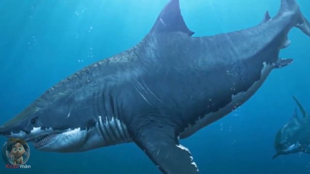 ប្រវត្តិត្រីឆ្លាមយក្ស Megalodon