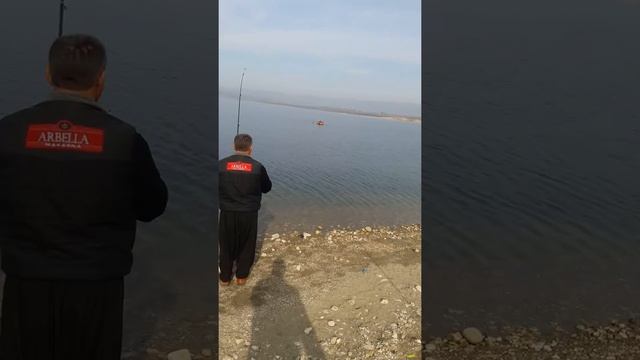 SAZAN AVI SERHAT GÜRLER смотреть онлайн