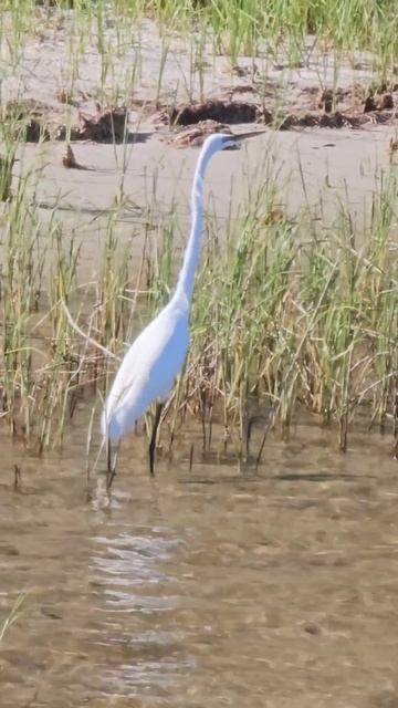 November 10, 2023 смотреть онлайн