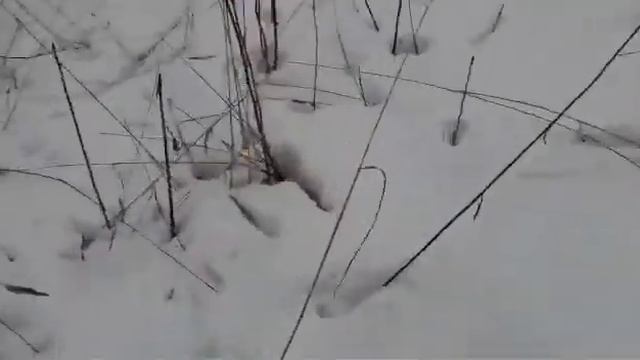 "Проверка на прочность" смотреть онлайн