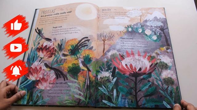 The Big Book of Blooms (The Big Book Series) by Yuval Zommer смотреть онлайн