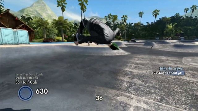 Skate 3: Danny Way's Tranny Demo - World Record (217k) смотреть онлайн
