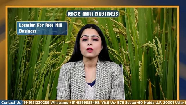 How to Start Rice Mill Business? | Rice Processing | Step by Step guide in Hindi - Corpbiz смотреть онлайн