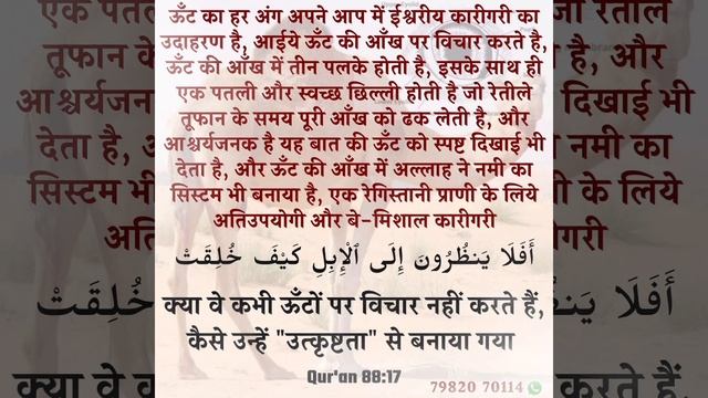Quran about camel 🐫 смотреть онлайн